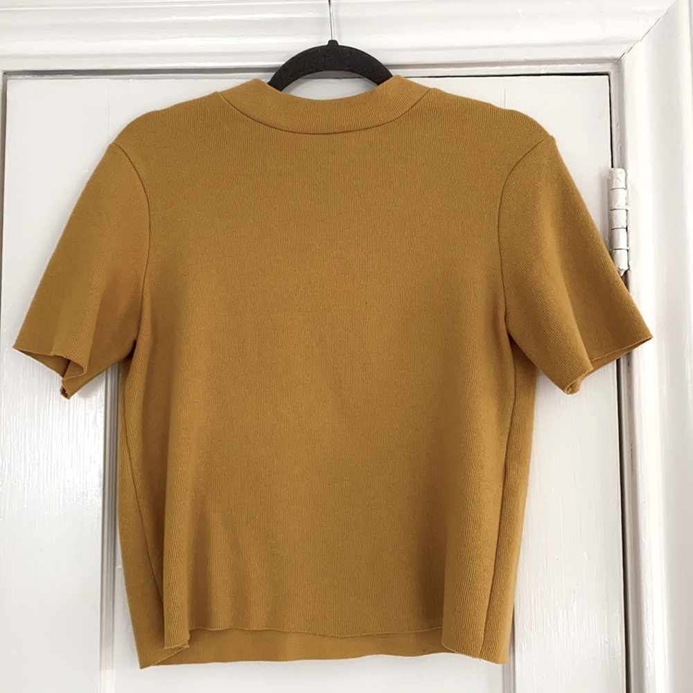 Zara turtleneck Top